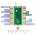 Original Raspberry Pi (PICO) MCU / RP2040 Dual-core ARM Cortex-M0+ 133MHz 264KB SRAM / 2MB Flash Memory